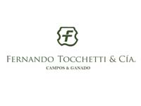 Loja Online do  Fernando Tocchetti & Cia
