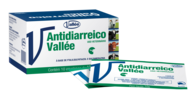 Antibiótico Antidiarréico Vallée - MSD