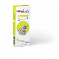 Antiparasitário BRAVECTO® Transdermal Gatos - MSD
