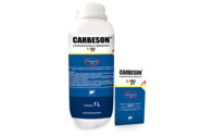 Carbeson