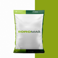 Fertilizante Foliar Boromag - Nitro