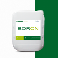 Fertilizante Foliar Boron - Nitro