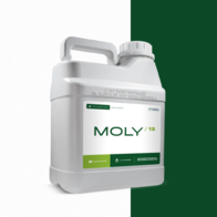 Fertilizante Foliar Moly 12 - Nitro