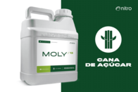 Fertilizante Foliar Moly 12 Para Cana - Nitro
