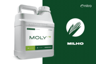 Fertilizante Foliar Moly 12 Para Milho - Nitro