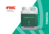 Fungicida REGALIA MAXX para HF FMC