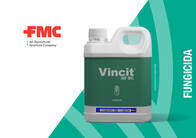 Fungicida VINCIT FMC