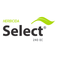 Herbicida Select 240 EC UPL