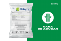 Inseticida Metarriz Plus Wp Biocontrol Para Cana- Nitro