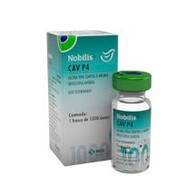 Vacina Nobilis CAV P4 - MSD