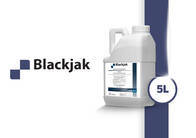 Bioestimulante Blackjak Orgânico Simples Sipcam Nichino