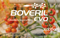 Inseticida Microbiológico Boveril Koppert 