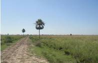 Fazenda Em Ñeembucú Paraguai De 12500 Hectares