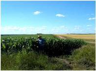Fazenda Em Rio Negro Uruguai De 2240 Hectáres