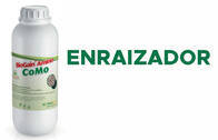 Fertilizante - BioGain Amino Co Mo - Rigrantec