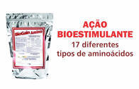 Fertilizante - BioGain Amino - Rigrantec