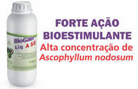 Fertilizante - BioGain Liq A 50 - Rigrantec