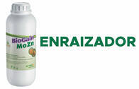 Fertilizante - BioGain Mo Zn - Rigrantec