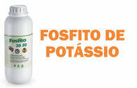 Fertilizante - Fosfito 30 20 - Rigrantec