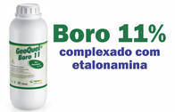 Fertilizante - GeoQuel Boro 11 - Rigrantec