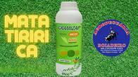 Herbicida Gramizap Max20 Imazapir Citromax