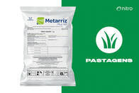 Inseticida Metarriz Plus Wp Biocontrol Pastagem - Nitro