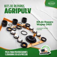 Kit Reparo Wayne 3401