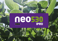 Sementes de soja NEO 530 IPRO Intacta RR2 Pro Neogen 