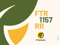 Sementes de Soja FT 1157 RR FT Sementes 