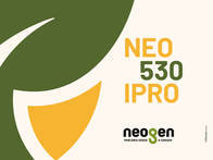Sementes de soja NEO 530 IPRO Intacta RR2 Pro Neogen