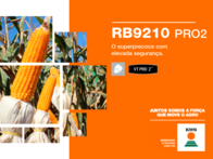 Semente de Milho RB9210 PRO2 - KWS Sementes