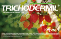Fungicida Nematicida Microbiológico Trichodermil Koppert 