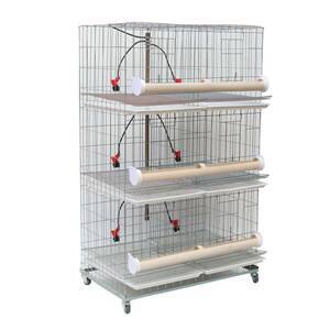 Bateria de 6 Gaiolas para Galinha
