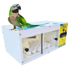 Chocadeira Automática para pássaros - Maia