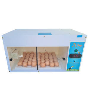 Chocadeira automática digital box em Plástico - Petra