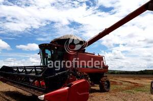 Colheitadeira de grão Case IH Axial-Flow 2799 - 15902