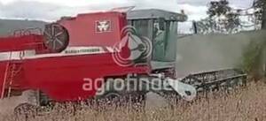 Colheitadeira de grão Massey Ferguson 32 - 16596