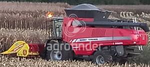 Colheitadeira de grão Massey Ferguson 9695 - 14543