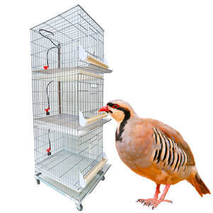 Conjunto com 3 gaiolas para perdiz chukar chucar