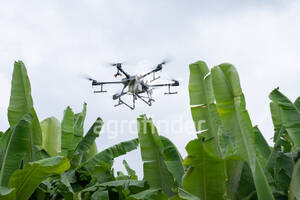 Drone DJI T30 - 6038