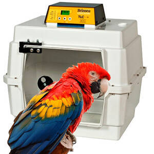 Estufa UTA Criadeira incubadora Aves Ring Neck Rosela mamiferos repteis - Brinsea TLC-40 Advance Series II