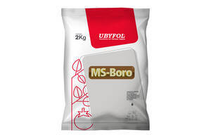 Fertilizante Mineral Misto Ms-Boro - Ubyfol