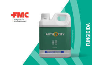 Fungicida AUTHORITY Milho FMC