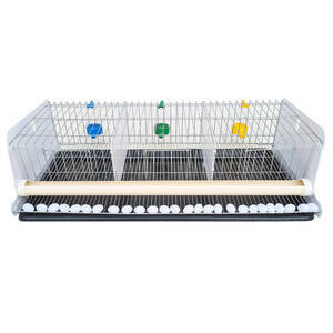 Gaiola para codorna completa