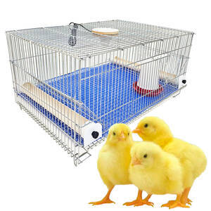 Gaiola para pintinhos Mini criadeira