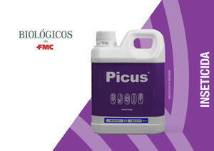 Inseticida PICUS® FMC