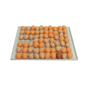 Kit De Grades Para Chocadeira 70 Ovos Chocmaster