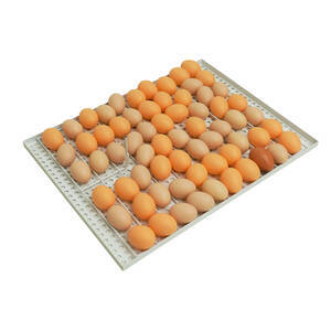 Kit de grades para Chocadeiras - 120 ovos
