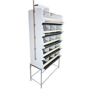 Bateria Com 5 Gaiolas Para Codorna Bebedouro Automático