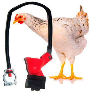 Bebedouro Automático - Tipo Copinho